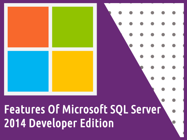 sql server 2014 developer edition